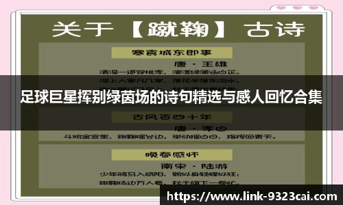 足球巨星挥别绿茵场的诗句精选与感人回忆合集